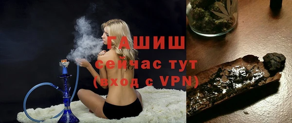 сатива Армянск