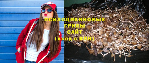 каннабис Арсеньев