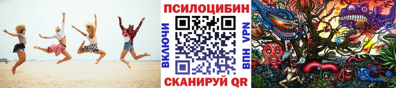 закладки Макарьев Галлюциногенные грибы прущие грибы
